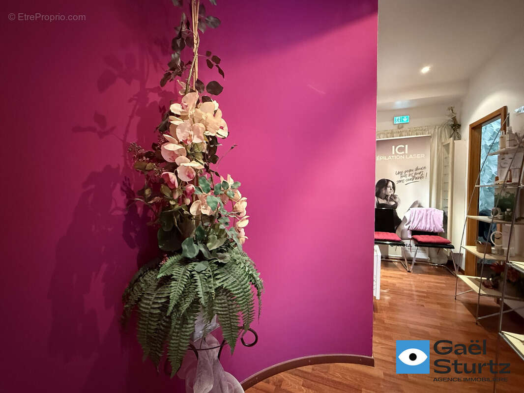 Appartement à SCHILTIGHEIM