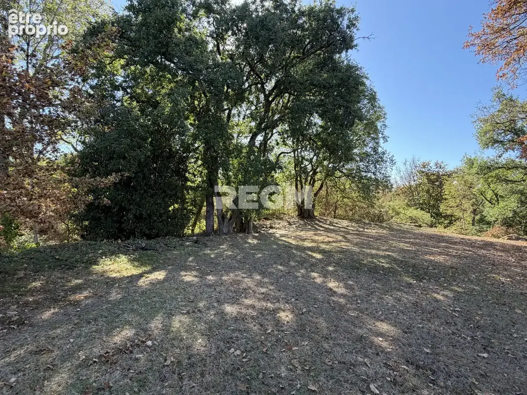 Propriété avec accès direct à la forêt - photo 11