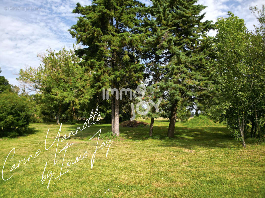 Elégante Toulousaine de caractère- 362 m2 habitable- Terrain arboré de 12 500 m2-Piscine - photo 18