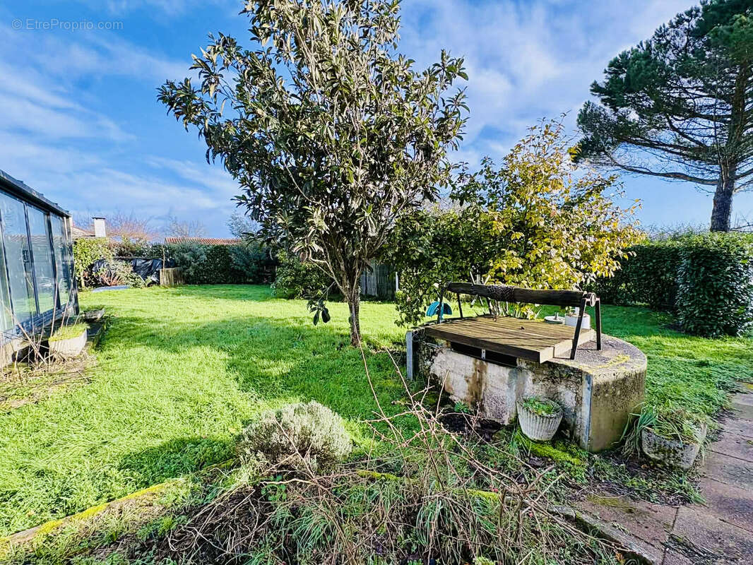 Maison à VIEILLEVIGNE