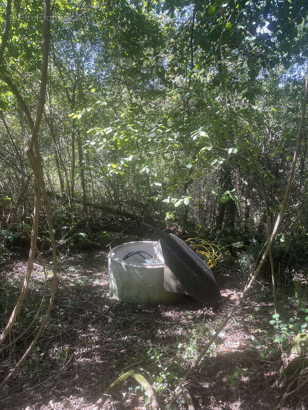 Maison à MAZEROLLES