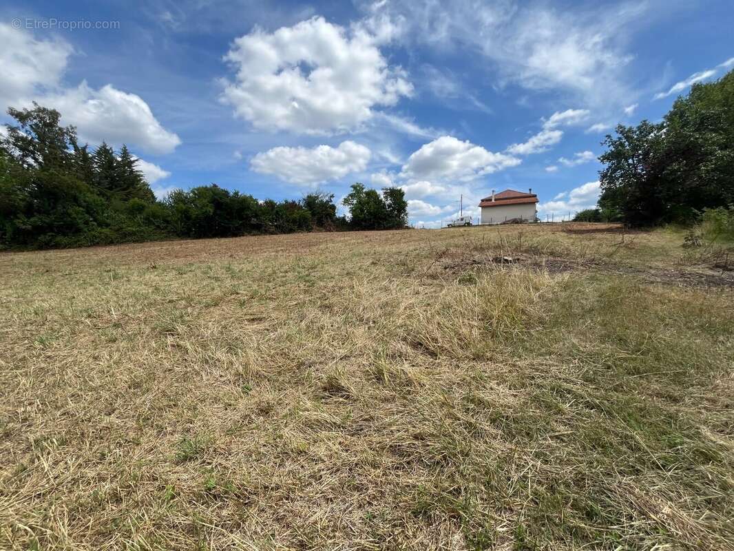 Terrain 2006 m² à Razac-Sur-L'isle  - photo 85