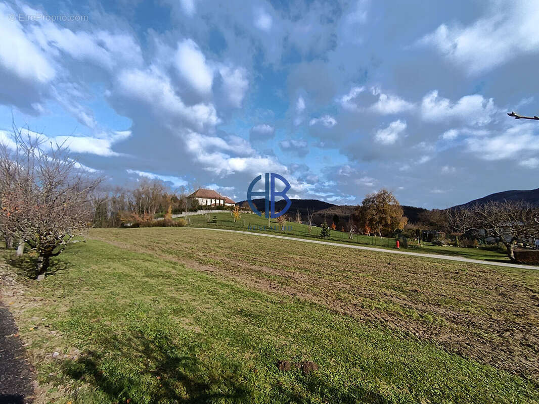 Terrain à MASSIGNIEU-DE-RIVES