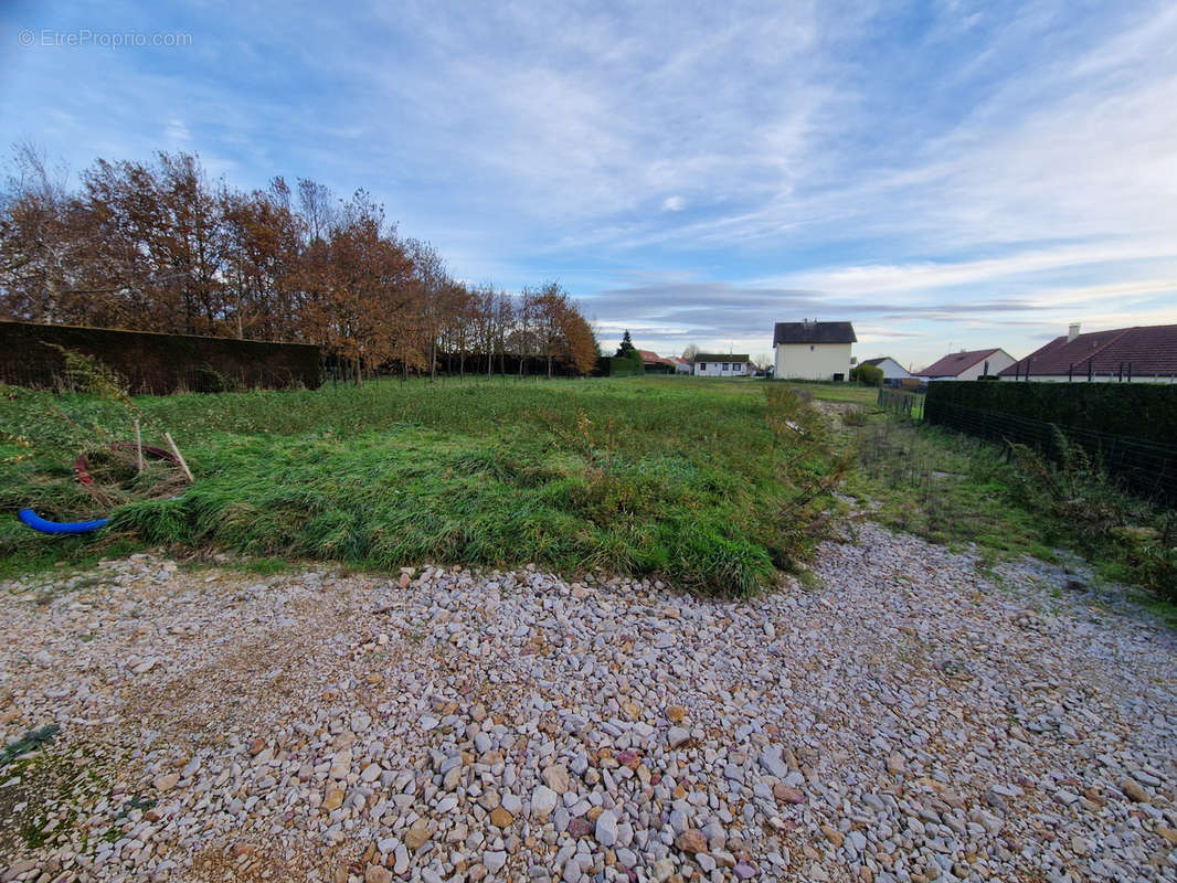 Terrain à OUROUX-SUR-SAONE