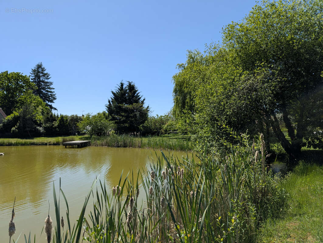 Maison à PIERREFITTE-SUR-SAULDRE