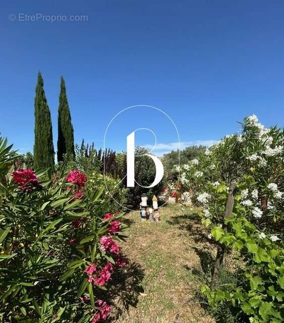 Maison à SAINT-PAULET-DE-CAISSON