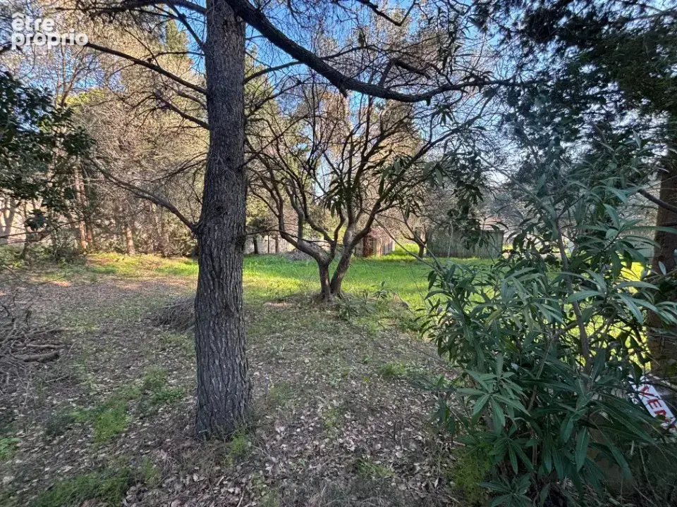 Terrain 705 m² à vendre à Carqueiranne (83320) - photo 2