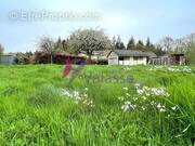 Terrain à SAINT-ARNOULT