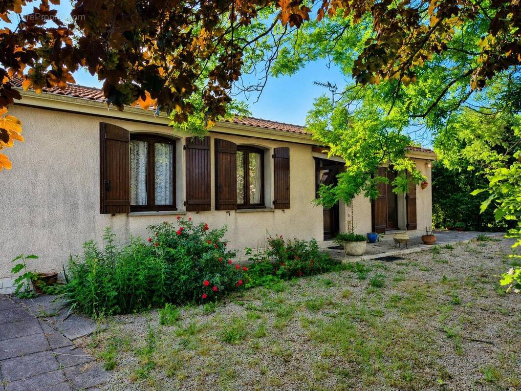 Photo 1 - Maison à ALBI