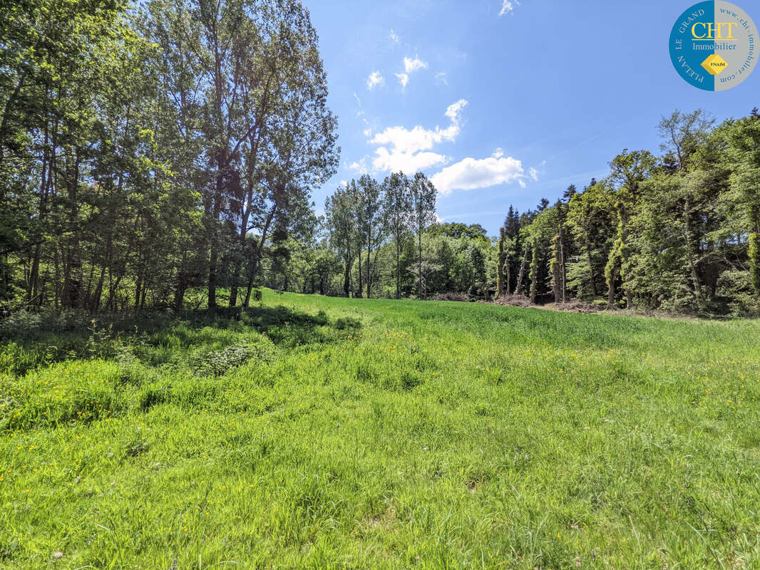 Un Manoir en Brocéliande à acheter avec CHT Immobilier - photo 42