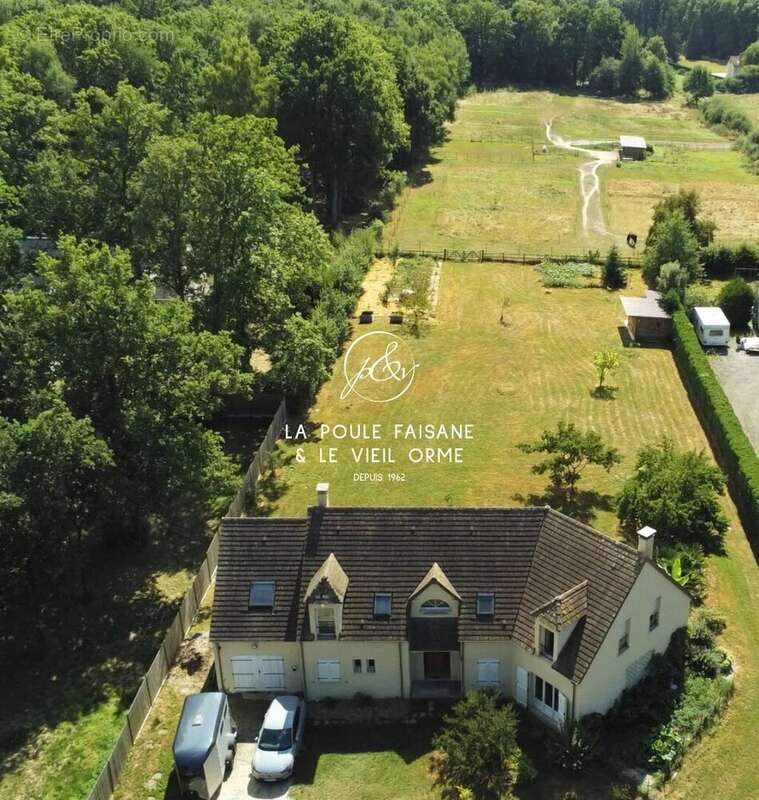 Vente ideale cavaliers - foret domaniale de rambouillet - photo 3