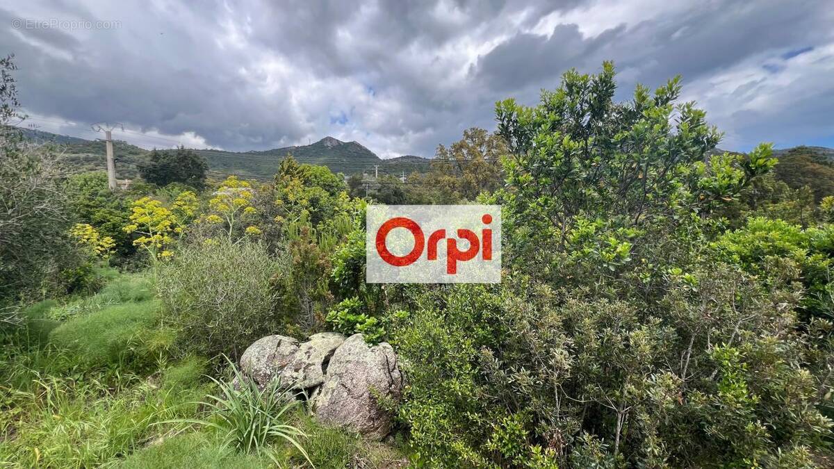 Terrain à PORTO-VECCHIO