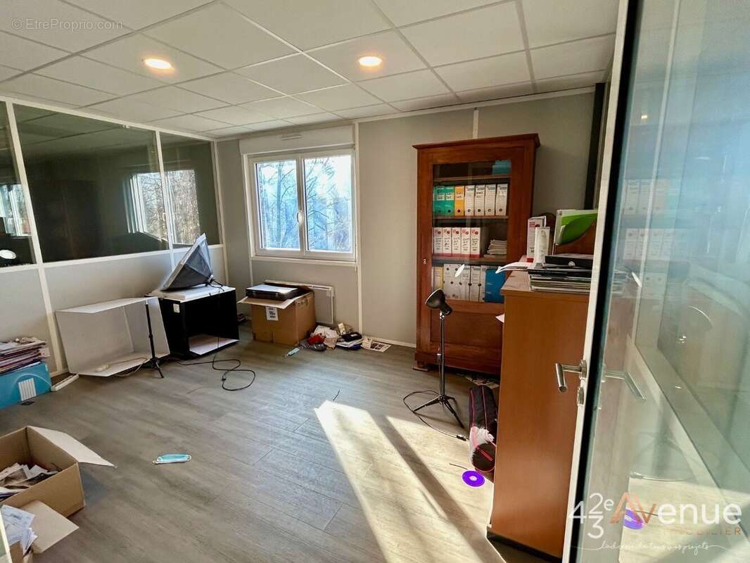 Commerce à ROCHE-LA-MOLIERE