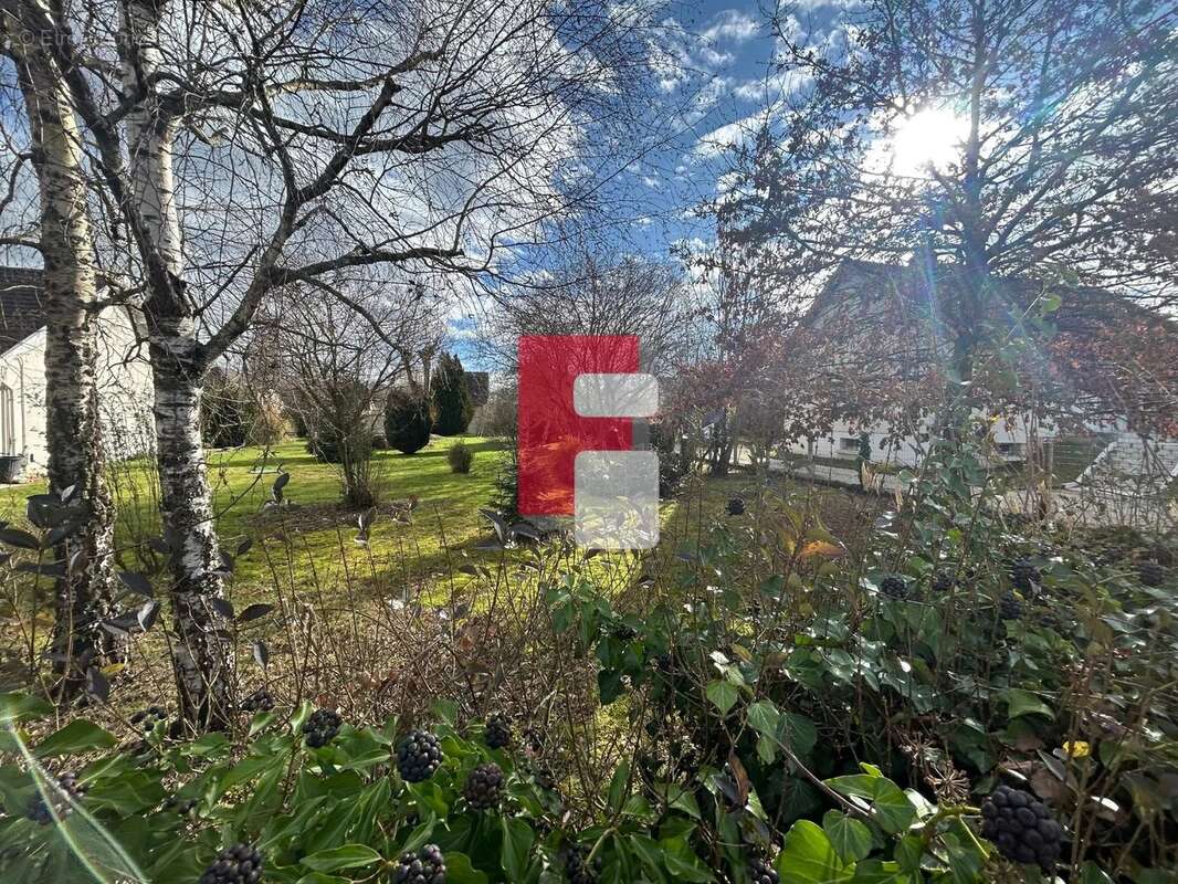 Terrain à LUSIGNY-SUR-BARSE