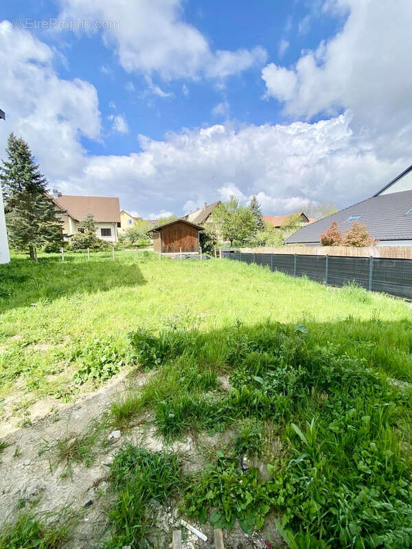 Maison à WENTZWILLER