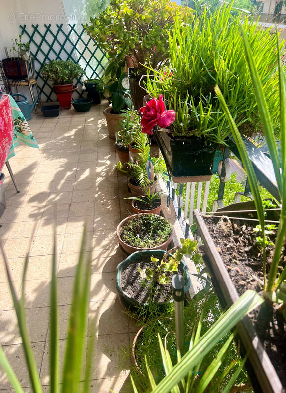 Appartement à LE CANNET