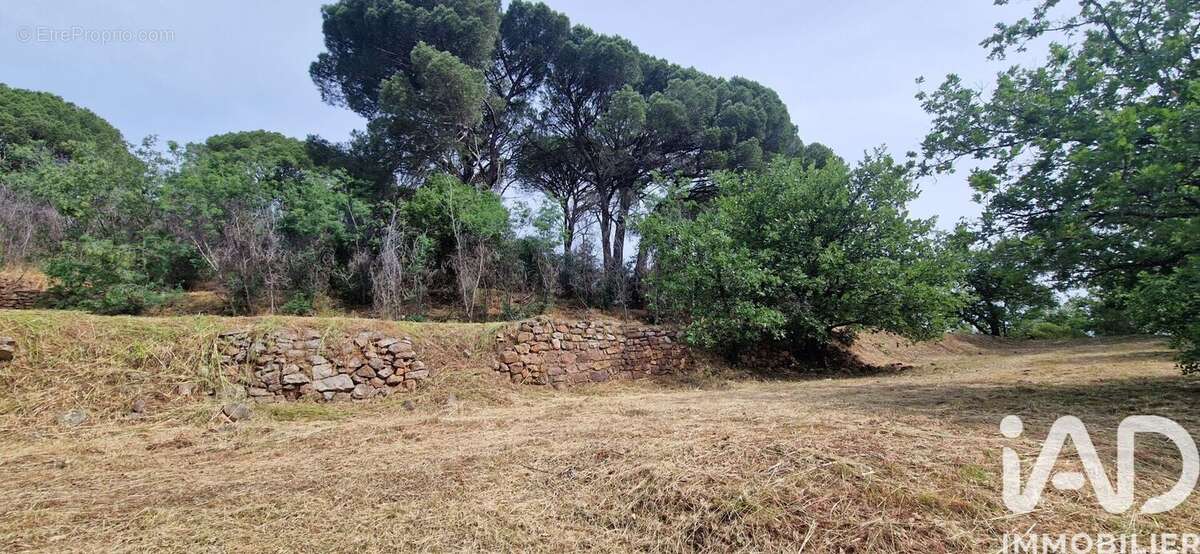 Photo 8 - Maison à VIDAUBAN