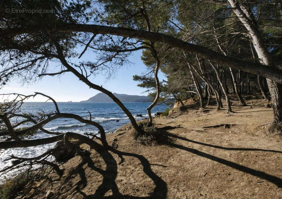 Appartement de 110 m2 en Rez de Jardin les pieds dans l'eau au Pin Rolland - photo 4