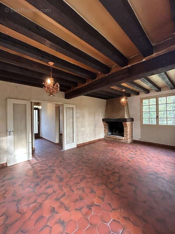 Maison à BRAY-EN-VAL