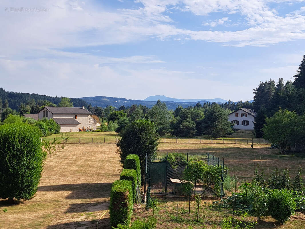 Chambon sur Lignon maison d'habitation sur 1860 m2 de terrain vue Mezenc - photo 21