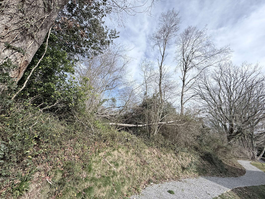 Terrain à BASSUSSARRY