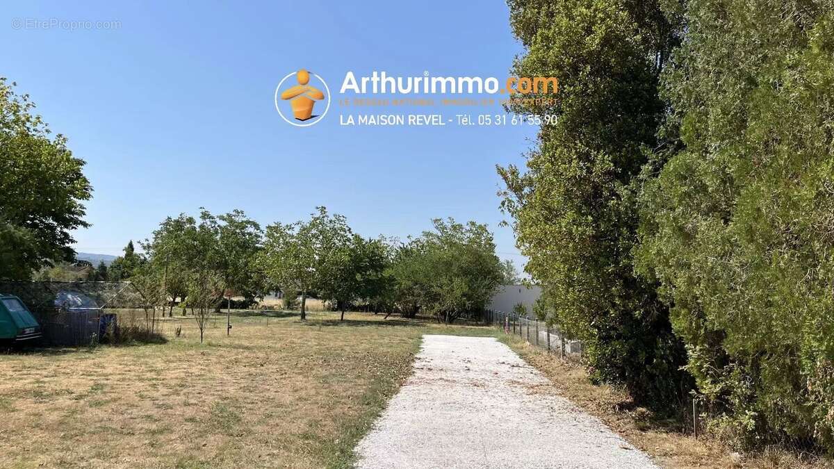 Vente Terrain Revel(31250) 95 000ï¿œ - photo 5