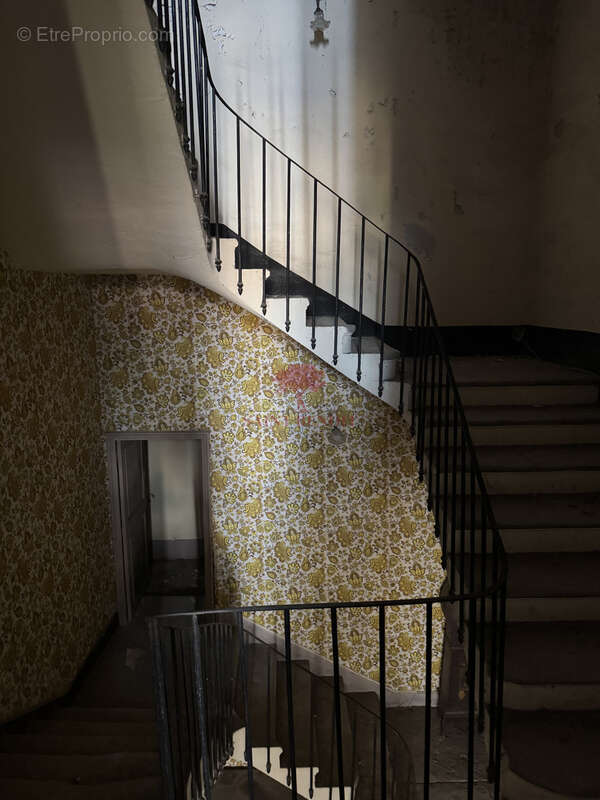 Maison à SAINT-ANDRE-DE-SANGONIS