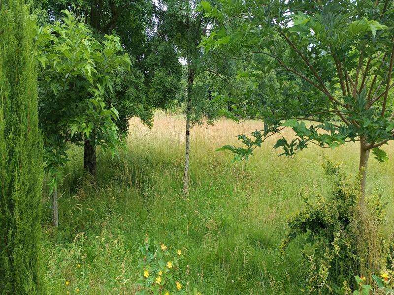 Maison à SAINT-SEURIN-SUR-L&#039;ISLE