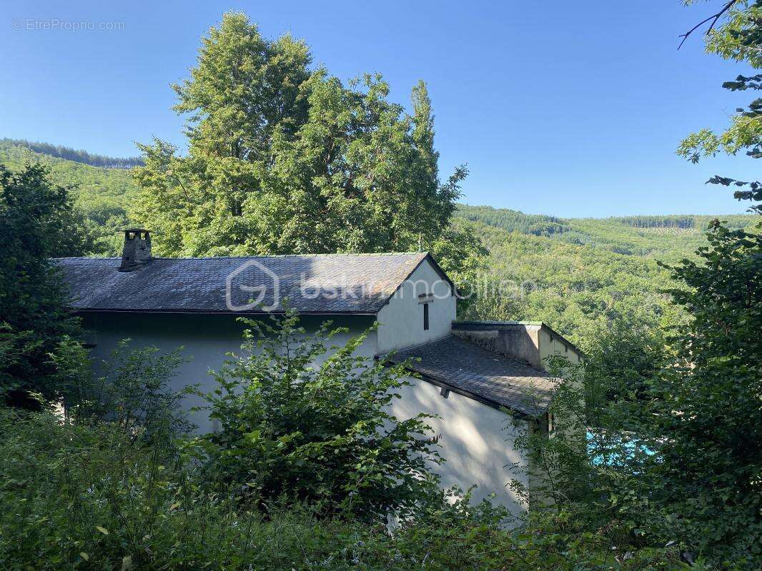 Maison à SAINT-JEAN-DU-BRUEL