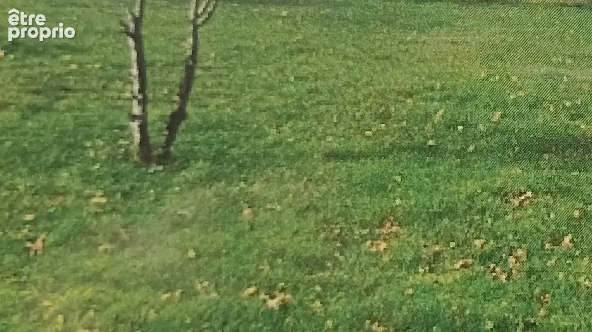 Photo Terrain à Bourgneuf-En-Retz au prix de 98 100€