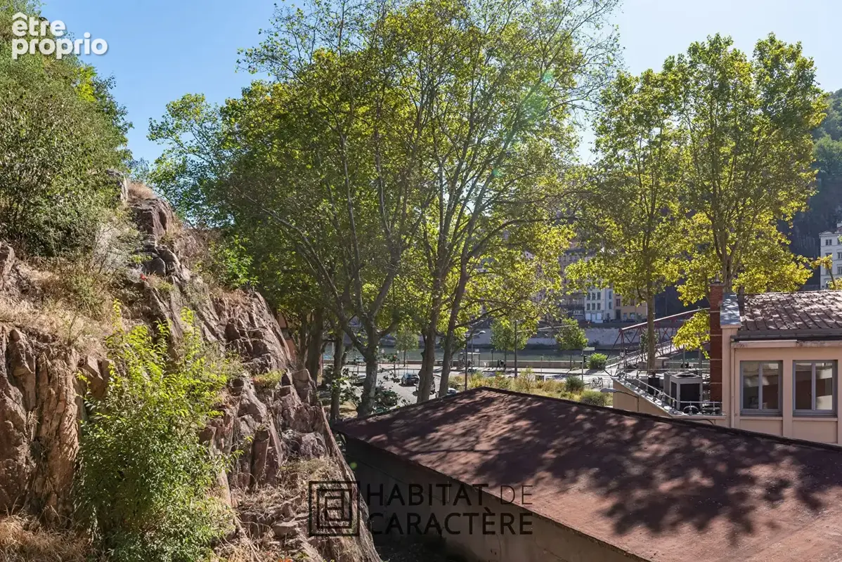 Lyon 1er : maison avec jardin, à 100 m des quais de Saône - photo 16