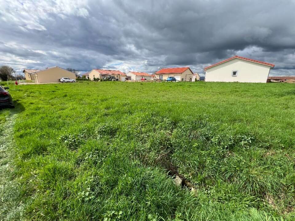 Terrain à SAINT-BENIGNE