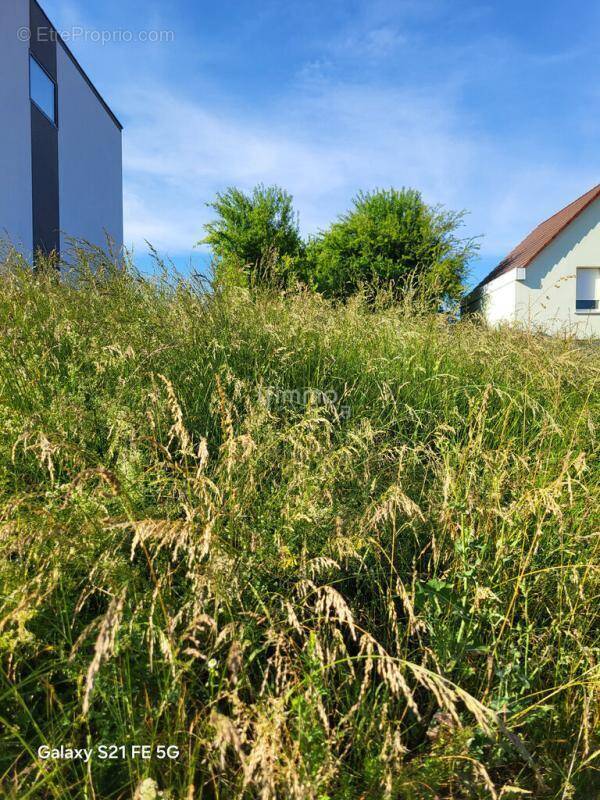 Terrain à OBERROEDERN