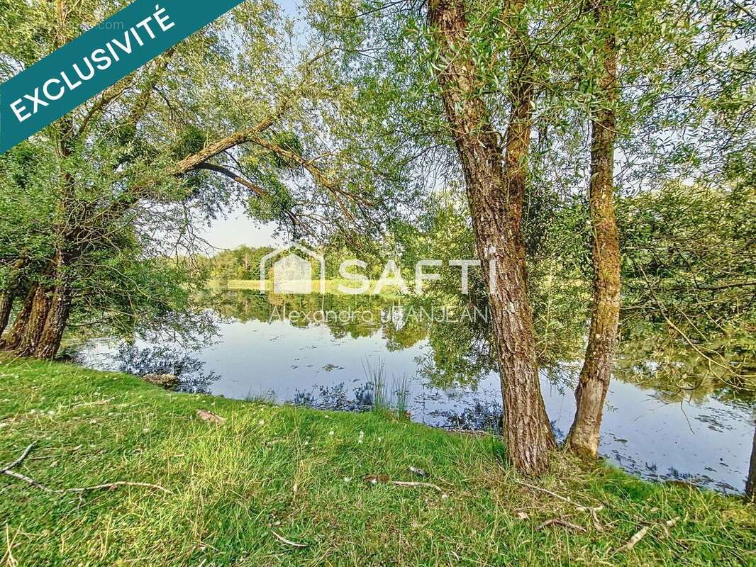 Photo 7 - Terrain à ARS-SUR-MOSELLE