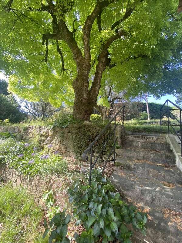 Mougins- propriete de 10 pieces  sur 6800 m² de terrain clos et arbore, ideal chambres d'hotes - photo 2