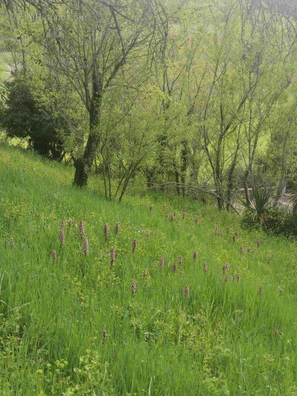 Maison à SAINT-VINCENT-DE-BARRES