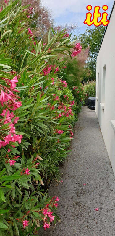 Maison 4 pièces 88 m² à vendre à Les Sables-D'olonne (85100) - photo 9