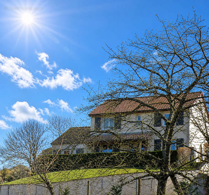 Maison à CREUZIER-LE-VIEUX