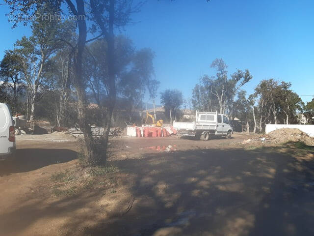 Terrain à PRUNELLI-DI-FIUMORBO