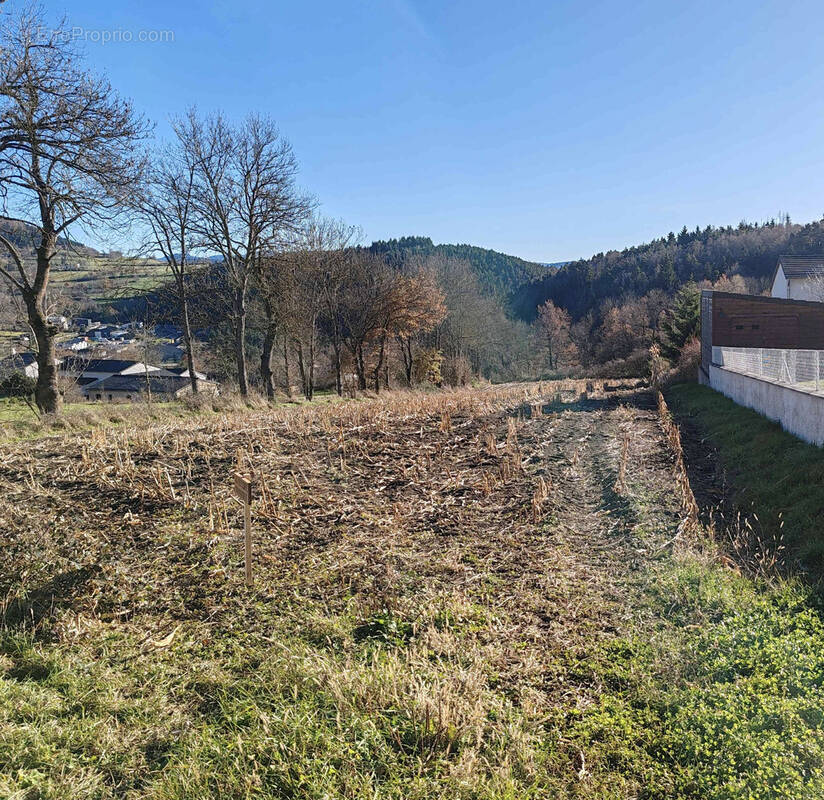 Terrain à SAINT-PIERRE-EYNAC