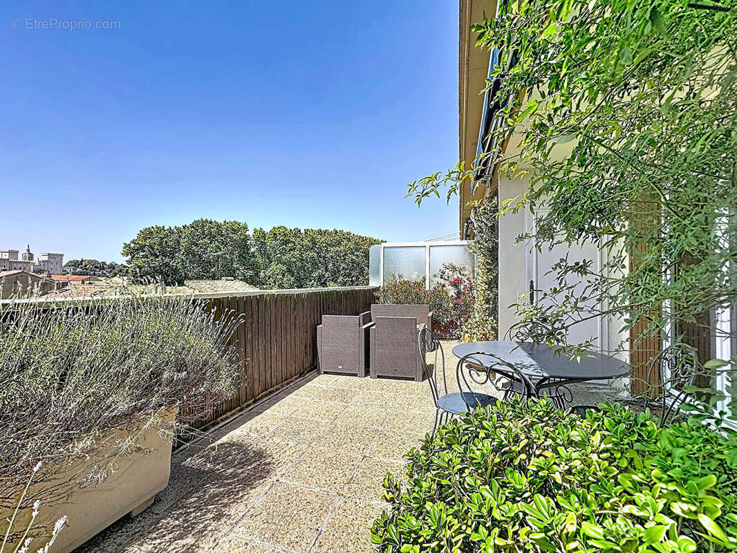 Intra-Muros T2 d'exception, terrasse panoramique garage et cave - photo 5