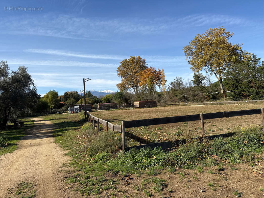 Maison à SAINT-JEAN-PLA-DE-CORTS