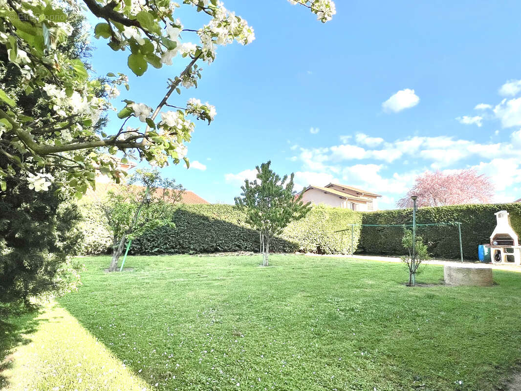 Maison à SAINT-MARCELLIN-EN-FOREZ