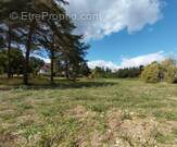 Terrain à CHAMPCEVINEL