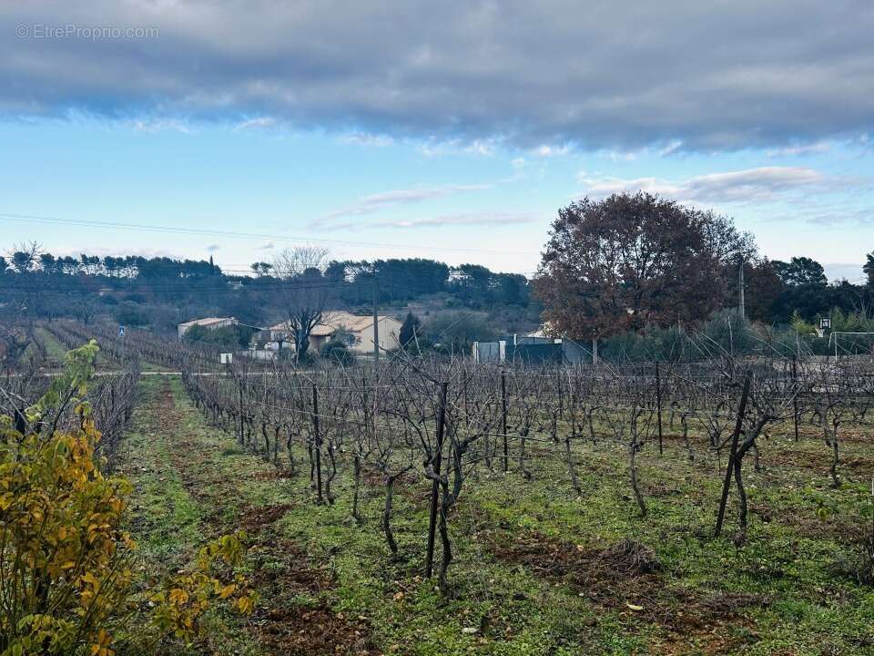 Terrain à LORGUES