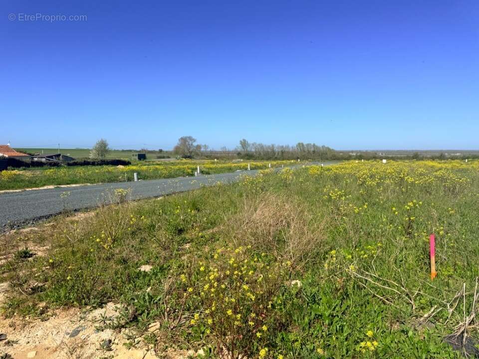 Terrain à CHAILLE-LES-MARAIS