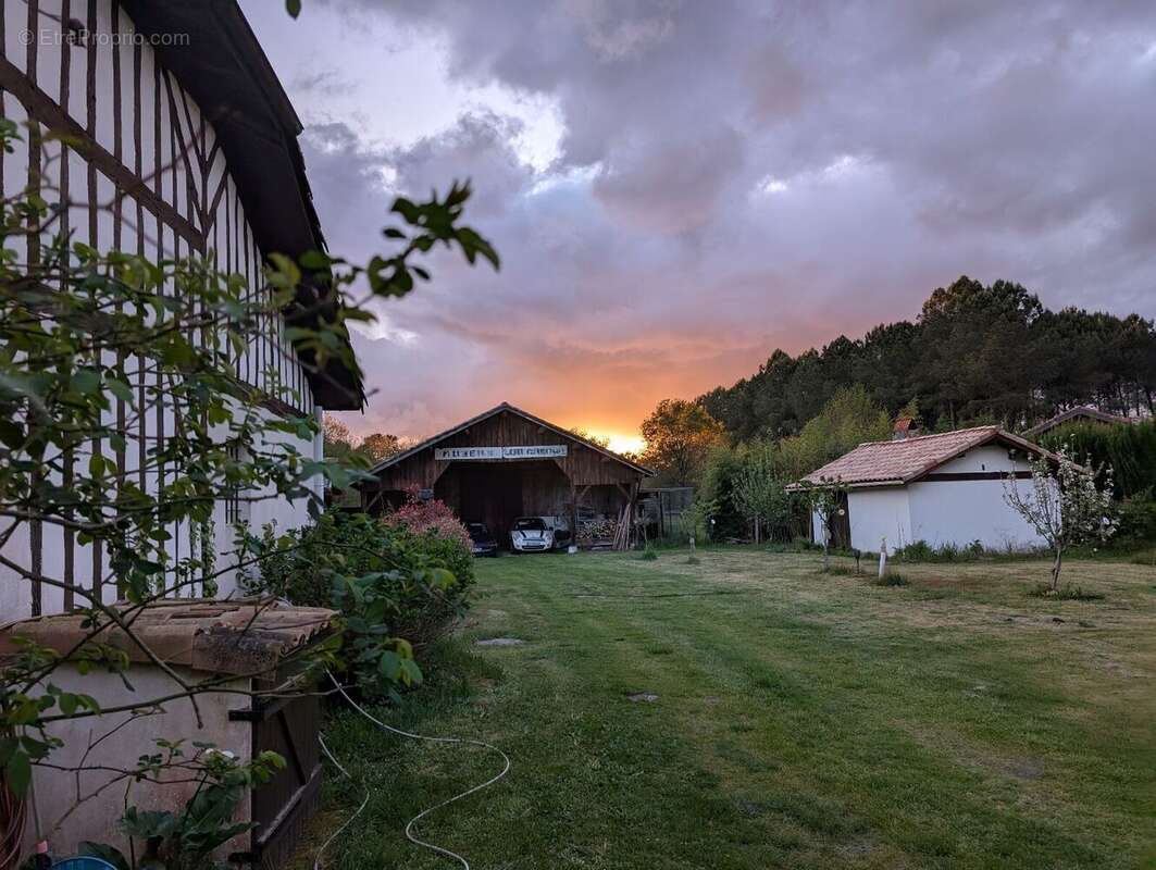 Photo 9 - Maison à PARENTIS-EN-BORN