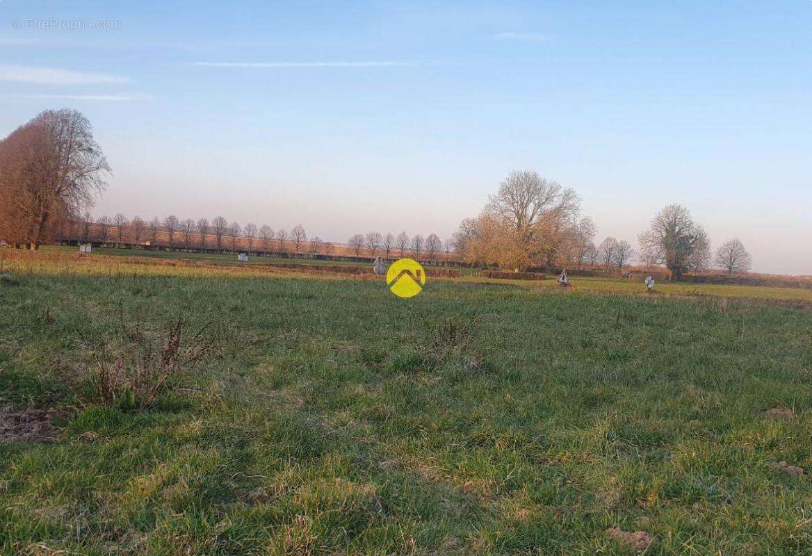 Terrain à BEAURAINVILLE