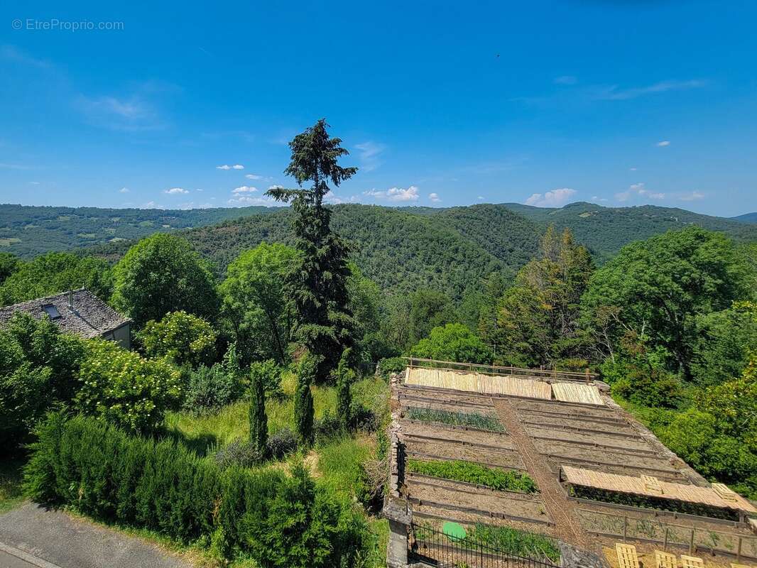 Commerce à NAJAC