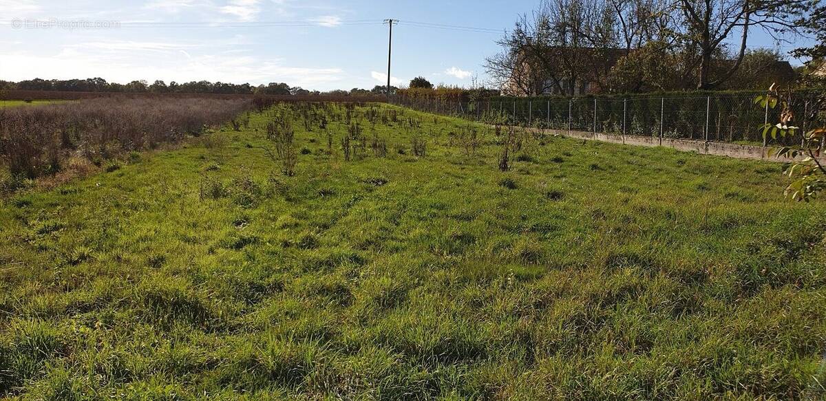 Terrain à SOIZY-AUX-BOIS